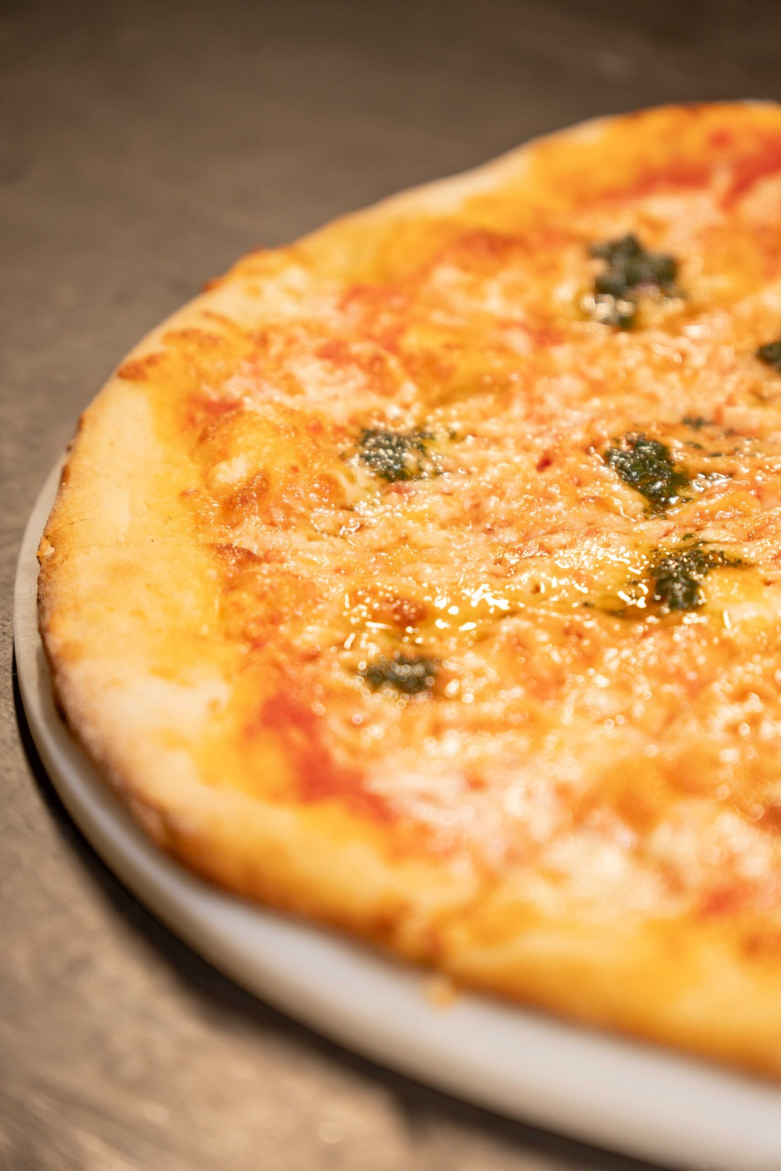 comida flecheiras - pizza terraro